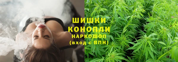 бутират Арсеньев