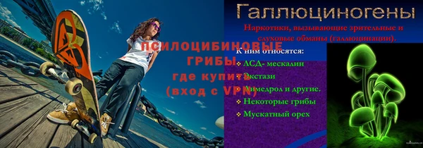 ГАЛЛЮЦИНОГЕННЫЕ ГРИБЫ Алзамай