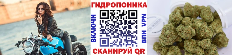 купить наркоту  Полярные Зори  Бошки марихуана индика 